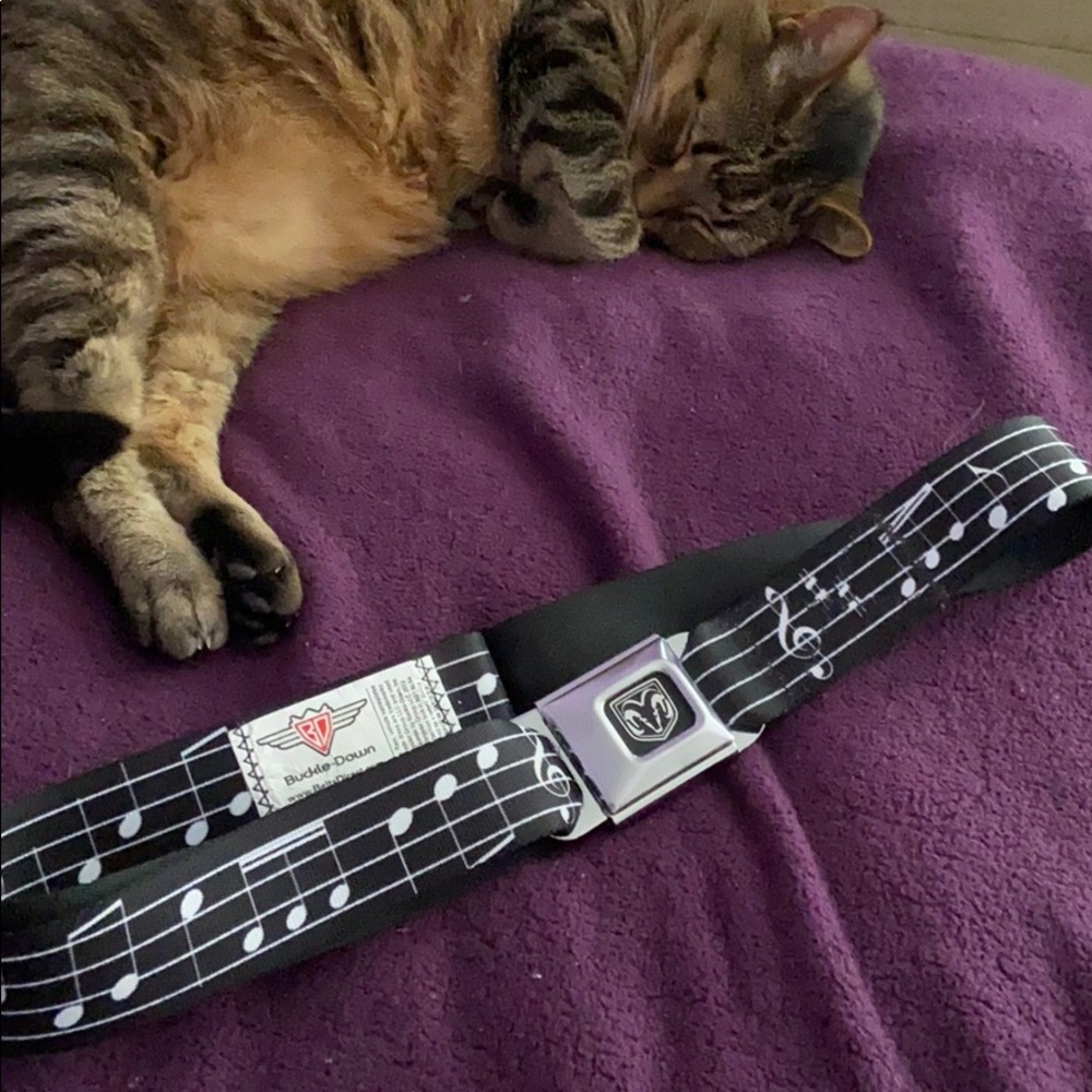 Music Notes Seatbelt Belt